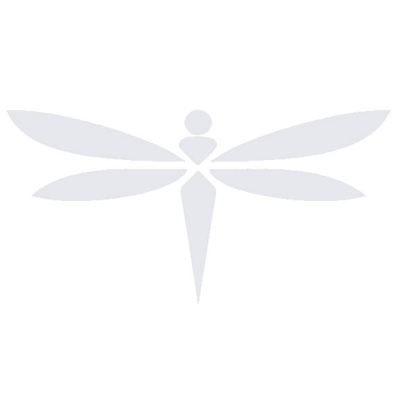 Dragonfly Systems